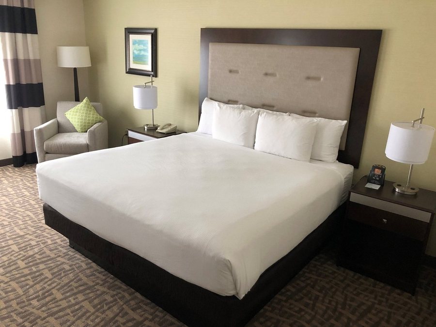 Wyndham Garden Buffalo Downtown — Guest room