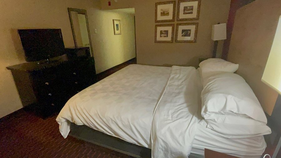Wyndham Garden Dover — Guest room