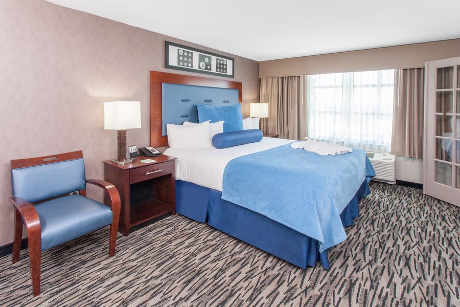 Wyndham Garden Elk Grove Village O Hare — Guest room