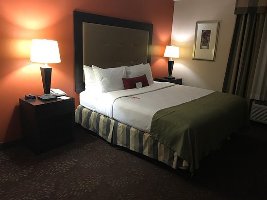 Wyndham Garden Houston Willowbrook — Guest room