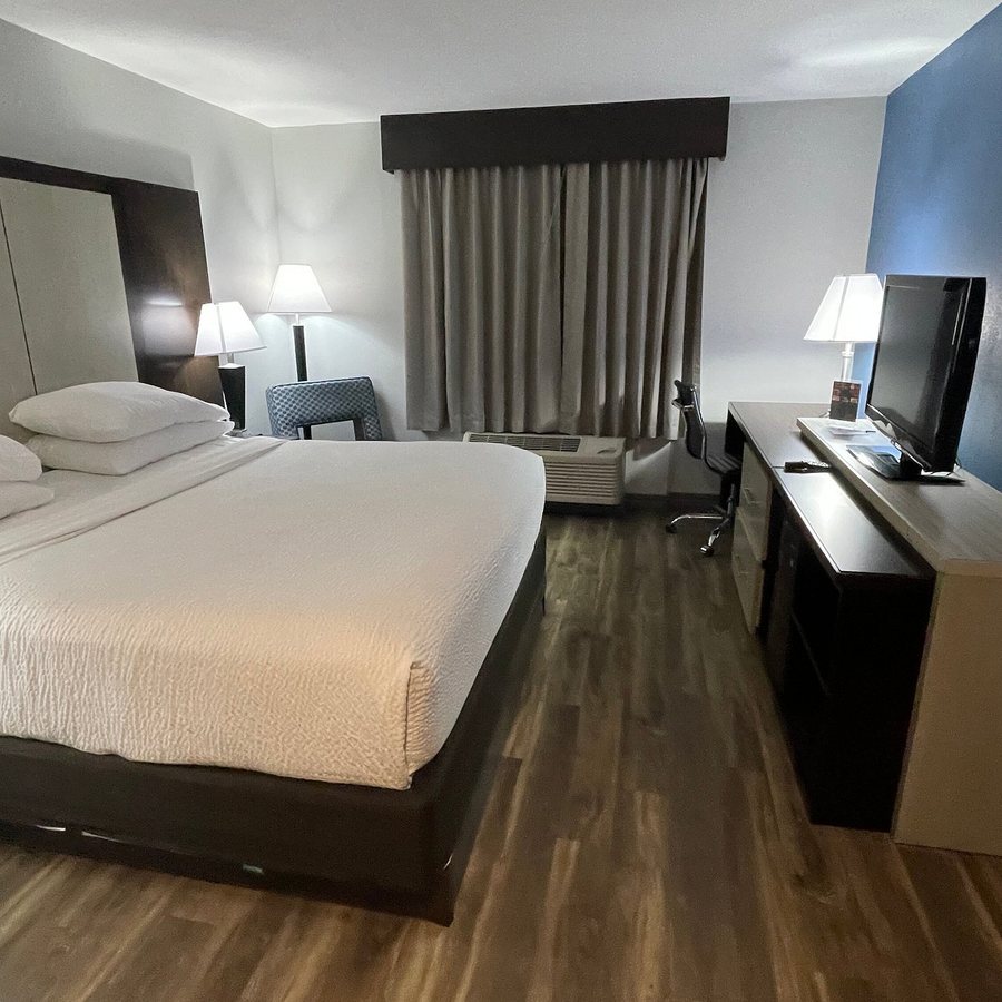 Wyndham Garden Jacksonville — Guest room