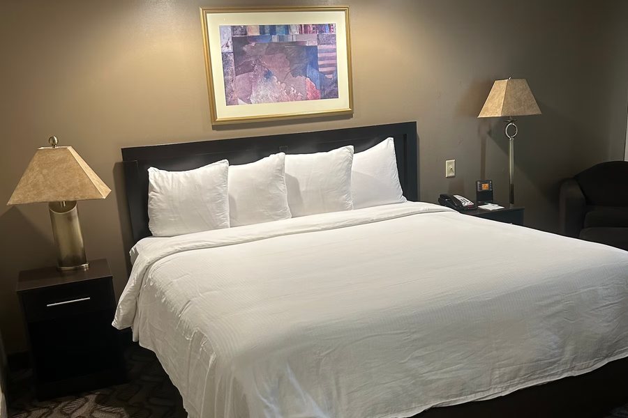 Wyndham Garden Madison Fitchburg — Guest room