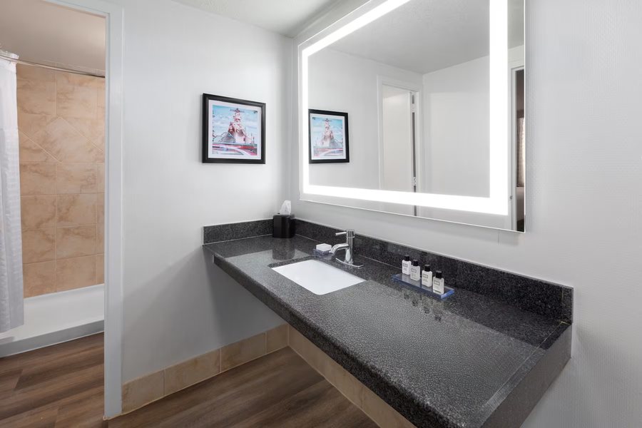 Wyndham Garden Norfolk Downtown — Bathroom