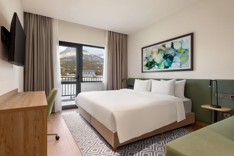 Wyndham Garden Zomin — Guest room