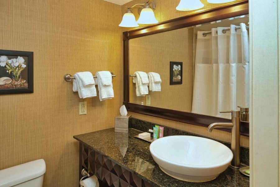Wyndham Grand Pittsburgh Downtown Pittsburgh Pennsylvania — Bathroom