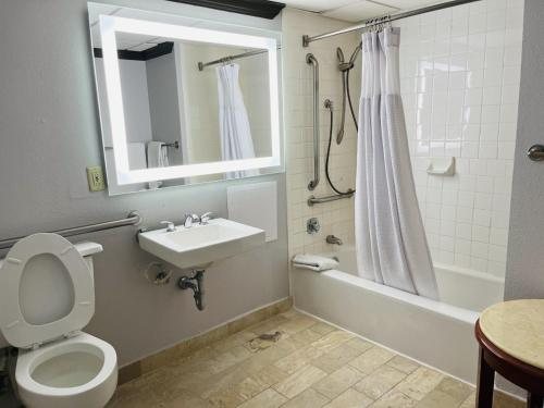Wyndham Houston Near Nrg Park Medical Center — Bathroom
