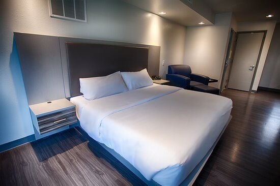 Z Loft Extended Stay Hotel — Guest room