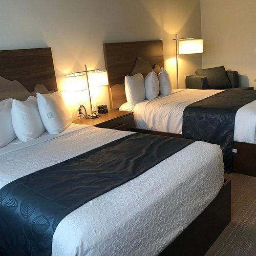 Zachar Bay Lodge — Guest room