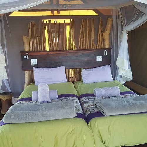 Zambezi Mubala Lodge — Guest room
