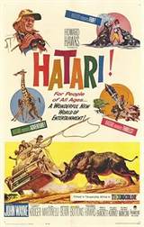 Hatari!