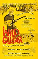 Wild Guitar