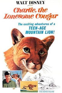 Charlie, the Lonesome Cougar