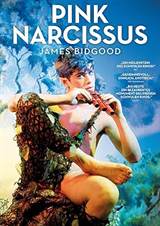 Pink Narcissus