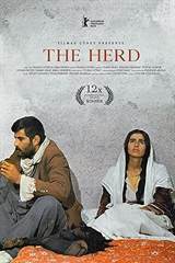 The Herd