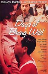 Days of Being Wild