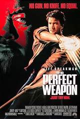 The Perfect Weapon