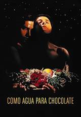Like Water for Chocolate (1992) poster
