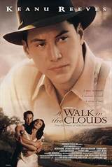 A Walk in the Clouds (1995) poster