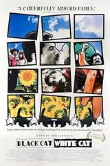 Black Cat, White Cat (1998) poster