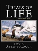 The Trials of Life