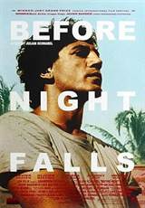 Before Night Falls (2000) poster