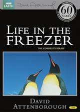 Life in the Freezer (1993) poster