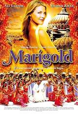 Marigold