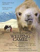 The Story of the Weeping Camel