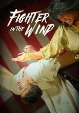 Fighter in the Wind