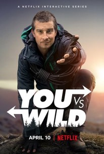 You vs. Wild (2019) poster