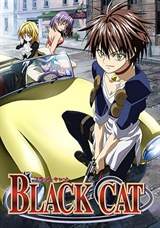Black Cat