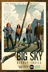Big Sky (2020) poster