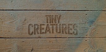 Tiny Creatures