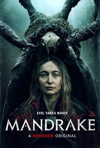 Mandrake