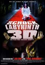 The Shock Labyrinth