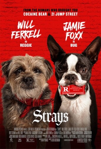Strays (2023) poster