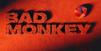 Bad Monkey