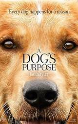A Dog's Purpose (2017) poster