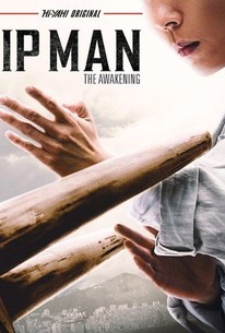 Ip Man: The Awakening