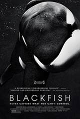 Blackfish (2013) poster