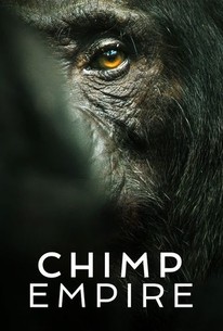 Chimp Empire