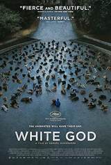 White God