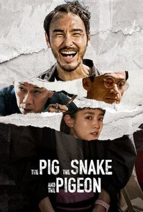 The Pig, the Snake and the Pigeon