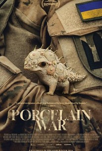 Porcelain War