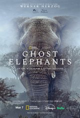 Ghost Elephants