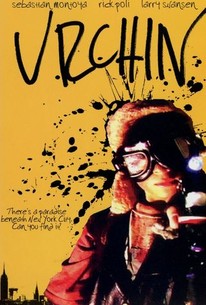 Urchin