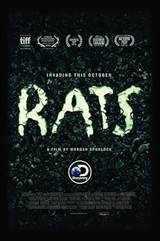 Rats