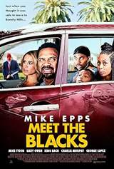 Meet the Blacks (2016) poster