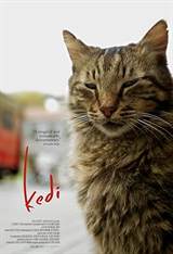 Kedi (2016) poster