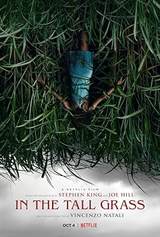 In the Tall Grass
